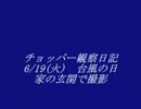 チョッパー観察日記　6/19(火)　台風の日@家の玄関で撮影