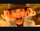 【ニコカラ】「生風」カブトムシ / aiko　通常カラオケ