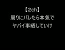 【２ch】周りにバレたら本気でヤバイ事晒していけ