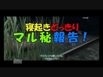 『TOKYO JUNGLE』 動物たちのサバイバルだゼ　ワイルドだろ？　 実況 第7話