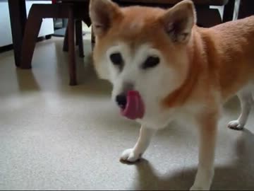 おジャガ掘ったどぉー(１２年６月２２日)