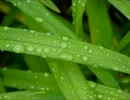 ハートに火をつけて_ZARD　歌ってみました。