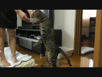 立ったままぺろぺろだと！けしからん！！