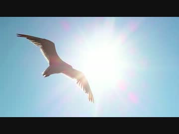 【自作曲】飛翔【オープニング系オーケストラ】
