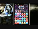 【パズドラ】ヘラダンジョン神なしノーコンその４【ビスケット】.mp4