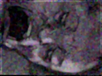 隣の人は何する人ぞ。『隣人』実況プレイ(10)