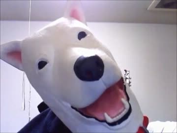 【弾いてみた】ニャル子ＯＰで病的に痩せてみた【ベース】