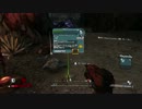 【Borderlands】目指せ！ガンスリンガー!【ゆる縛り】 Part19