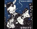 【星空の下で】 演奏してみた 【SHAKALABBITS】