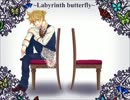 Labyrinth butterfly