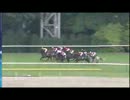 【ひたすら戸崎】戸崎圭太、2012中央8勝目(ゴーハンティング)