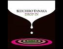 Yellow Flag / Seiichiro Tanaka (Seiichiro Nagano & Hiroshi Tanaka)