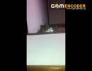 iPhoneで猫を撮ったらとんでもないことになった