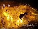 琥珀【オリジナル曲】