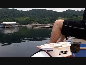 今週も紀州釣りで黒鯛　さくっと後半戦