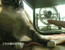 ジャンくんとの触れ合いは指先から