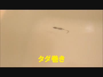 【15分座学】0からはじめる釣り講座＃7【海で使えるソフトルアー】