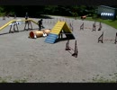 2012.6.26アジ練４