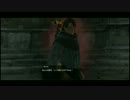 【ドラゴンズドグマ】何か選ばれし者らしいので旅に出る Part 37【実況】