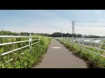 【自転車】境川サイクリングロード【車載動画】