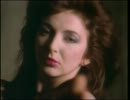 Kate Bush - Running Up that Hill