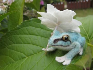 羊毛フェルトでカエル作って撮ってみた。