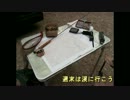 週末は渓に行こう　2012　6　17　山梨　 昇仙峡上流の渓