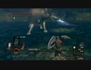 【ノーダメージ縛り】一度も傷つかなかった不死人:Part11【ダークソウル】
