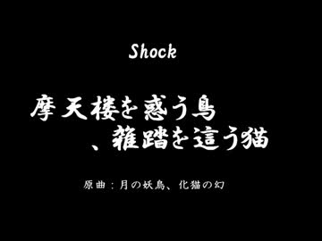 【第4回東方ニコ童祭】 摩天楼を惑う鳥、雑踏を這う猫