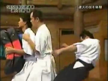 武道の達人の突きと蹴り