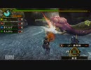 【実況】やるゲーム無いからモンハン3rdやろう！十狩り目　後半