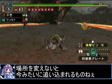 【東方】迷い込んでポッケ村　番外編１８話・狩猟４【ＭＨ】