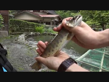 アウトドアをやろう！檜原村探検編　part1