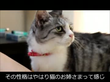 一途な彼女
