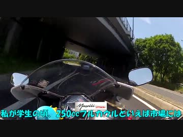 【CBR600】メガリ250の慣らし運転ツー【こけた人】