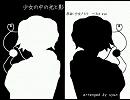 【第4回東方ニコ童祭】少女の中の光と影