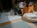 2012年6月30日
