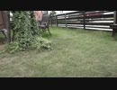 初めての地べた