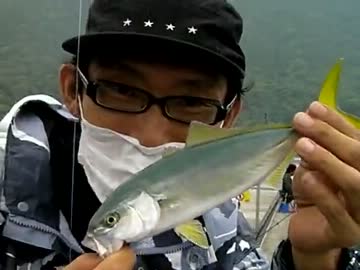 カンパチ、ブリを釣る！「ニコ動見てますよ」と話しかけられる (ﾟﾛﾟ;