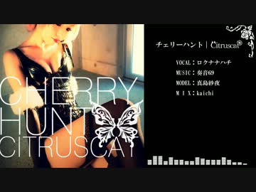 【NNI】チェリーハント ‐ Citruscat