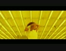Dragonette - Let it Go (Official Video)