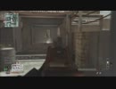 ドクペ愛好家がCoD:MW3【part5】