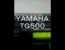 うわーい！まだゴミじゃない！ＹＡＭＡＨＡ　ＴＧ５００デモ 山田昌記