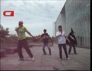【踊ってみた】ハッピーシンセサイザ【葛西臨海公園】