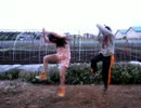 【妹を道連れに】ドコノコノキノコ【踊ってみた】