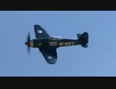 Hawker Sea Fury SD-369