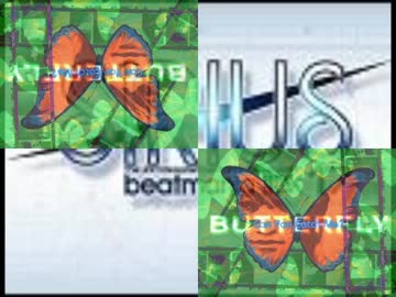 Bloomin'_Feelingのように舞イーニョ