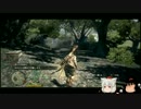 【ゆっくり実況】きめぇ丸ドグマ（16） 【ドラゴンズドグマ】