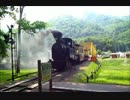 丸瀬布いこいの森「雨宮21号」
