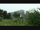 日本百名山に登ってみた番外15　福智山編
